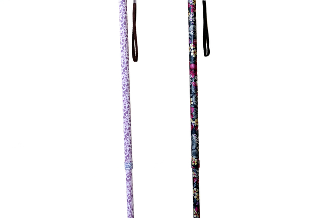 Canne fantaisie HMS VILGO - Comptoir Médical Clermont l'Hérault